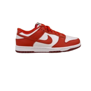 Dunk low Nike By You