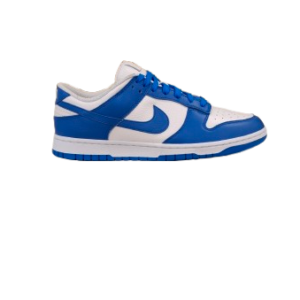 Dunk low Nike By You
