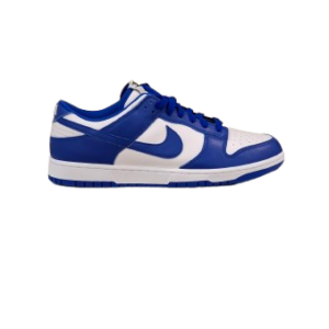 Dunk low Nike By You